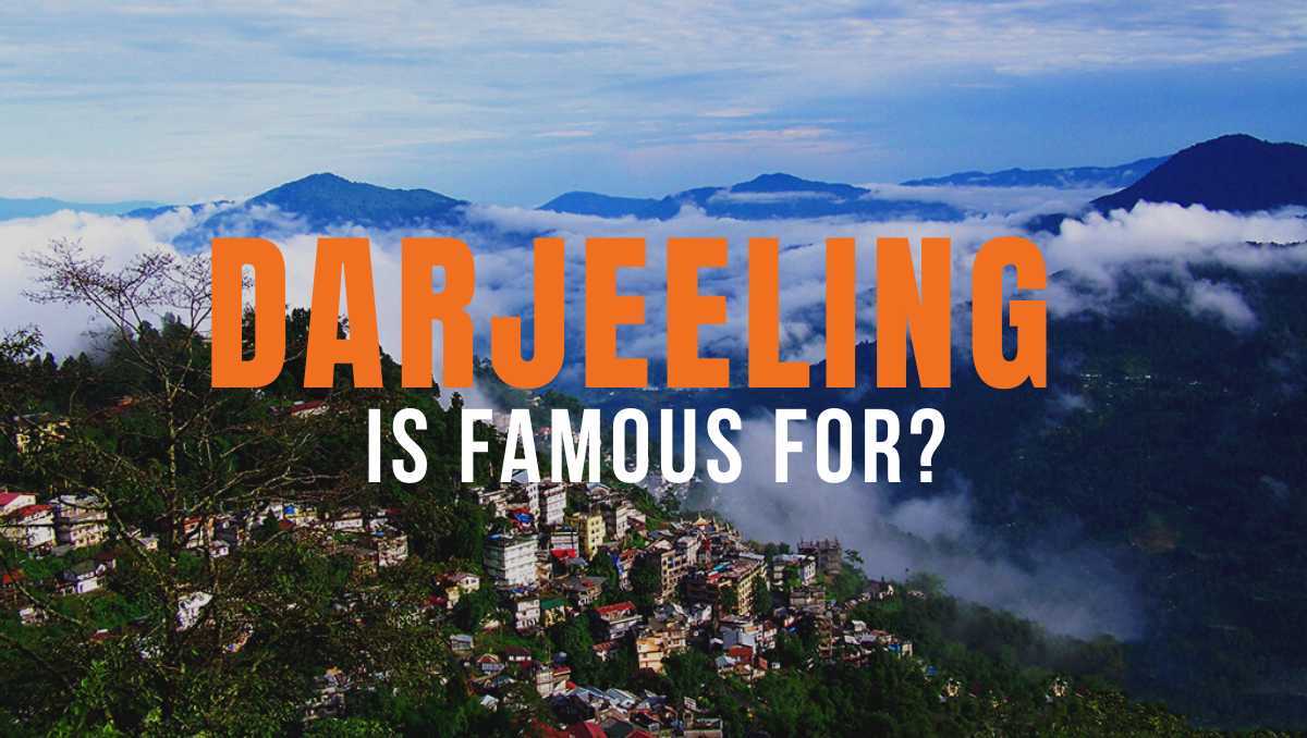 What is Darjeeling Famous For?