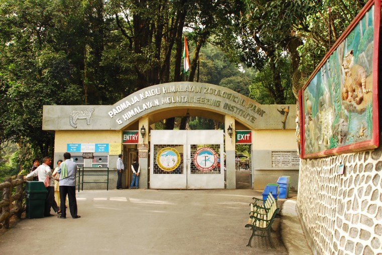 Darjeeling tour package